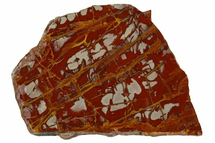 Polished Noreena Jasper Section - Australia #314235